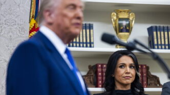 Donald Trump Rilancia Accuse D