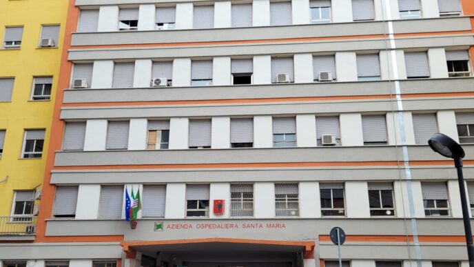 Donna Incinta Precipita Dal Se