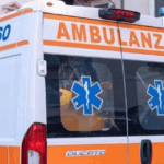 Due Bambini Azzannati Da Un Cane A Lavinio, Ricoverati In Codice Rosso All’Ospedale Bambino Gesù