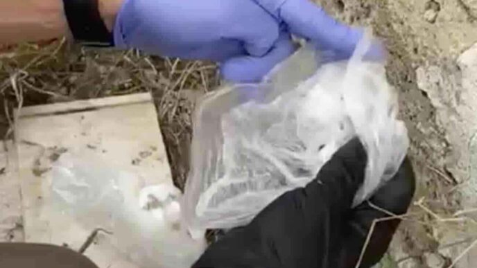 Due Minorenni Arrestati A Caiv