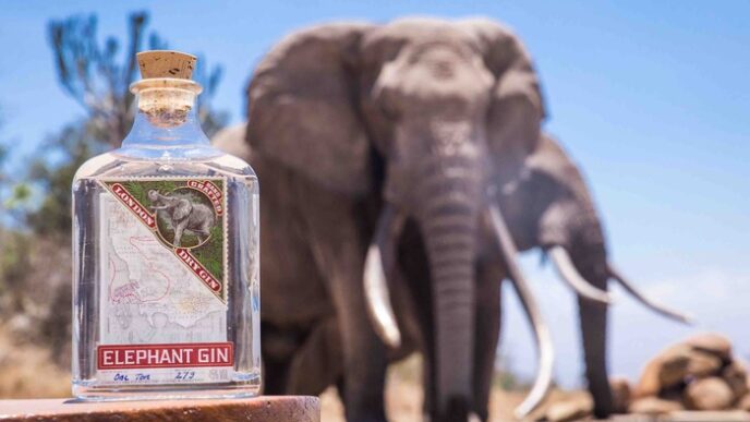 Elephant Gin Celebra Il World