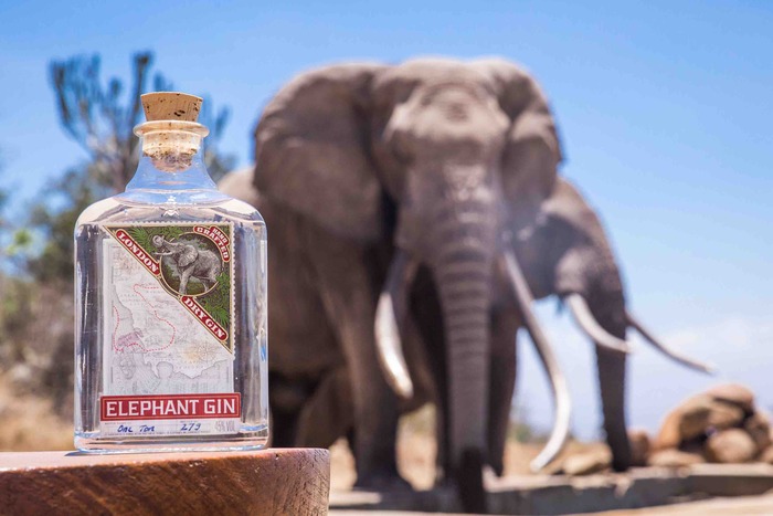 Elephant Gin Celebra Il World