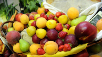Esportazioni Di Ortofrutta Fre