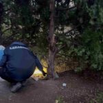 Ferito A Colpi Di Pistola Nella Periferia Di Roma, Indagini In Corso Per Ricostruire I Fatti