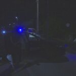 Festa Di Compleanno In Un Cortile Di Bologna Finisce Con Un Omicidio: Arma Da Fuoco, Vittima La Nonna Della Bimba