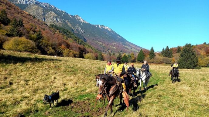 Fieracavalli Porta Le28099Equitazio