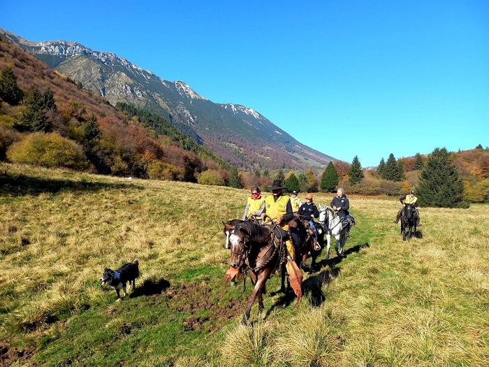 Fieracavalli Porta Le28099Equitazio