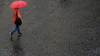Fine Luglio Con Un Calo Delle