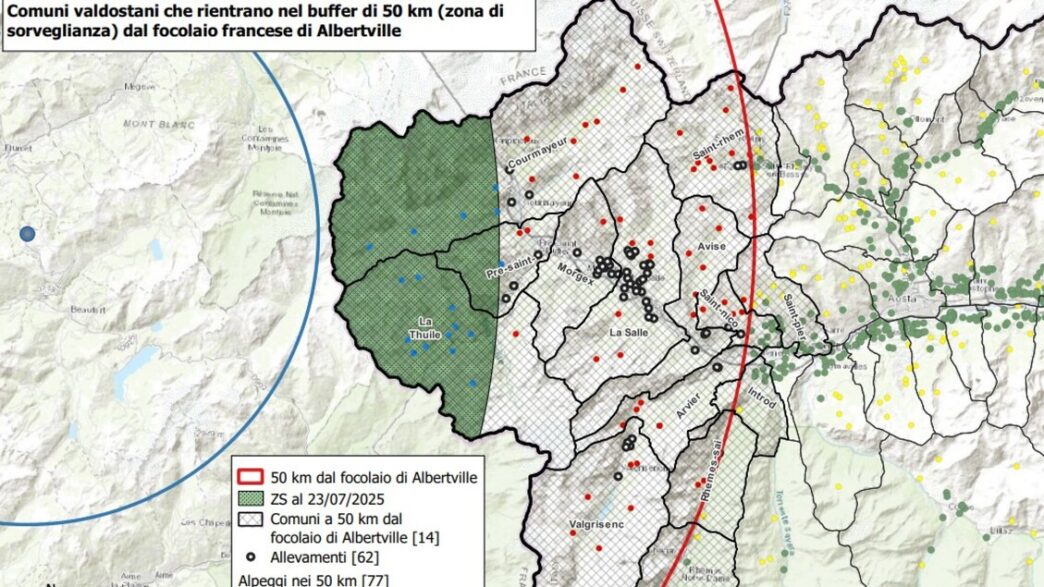 Focolaio Di Dermatite Nodulare