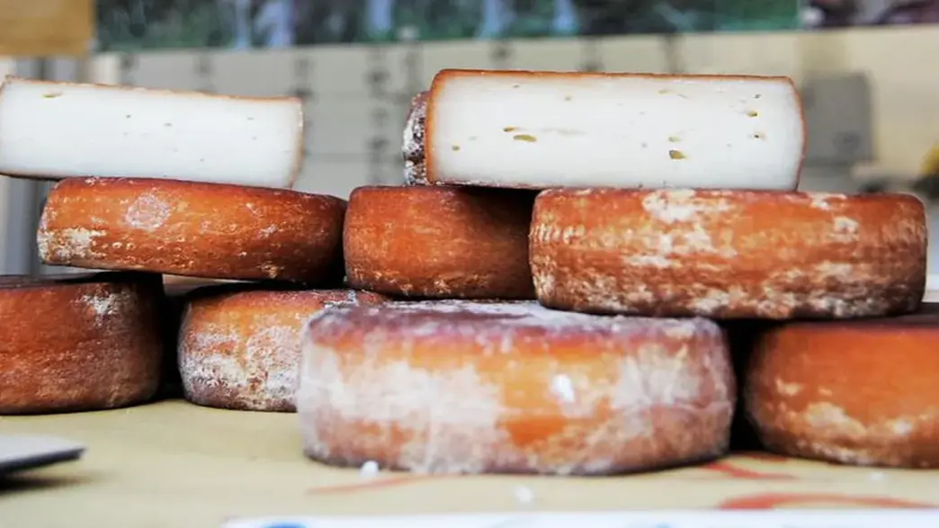 Formaggi A Latte Crudo Da Nord