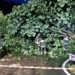 Forte Temporale A Genova Con Crollo Di Alberi E Allagamenti Notturni, Interventi Dei Vigili Del Fuoco