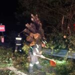 Forti Temporali Tra Il 6 E 7 Luglio Causano Danni A Orvieto Con Alberi Caduti E Allagamenti Diffusi