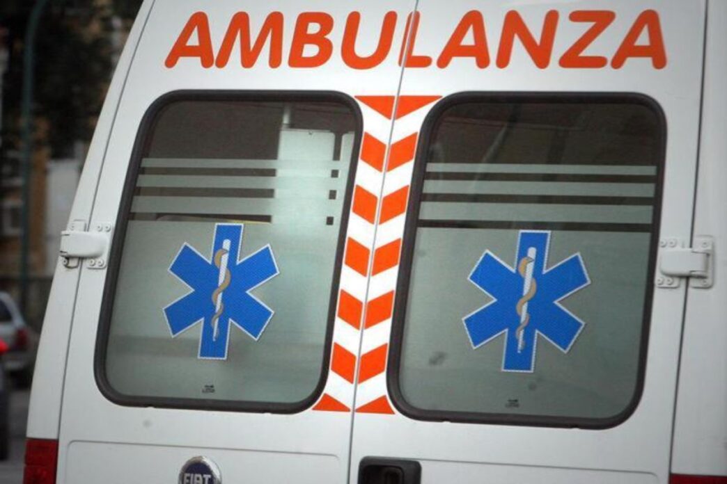 Fratello E Sorella Azzannati D