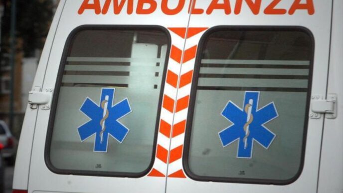 Fratello E Sorella Azzannati D