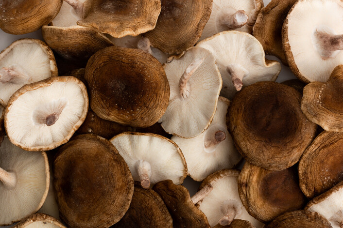 Funghi Coltivati In Europa2C So