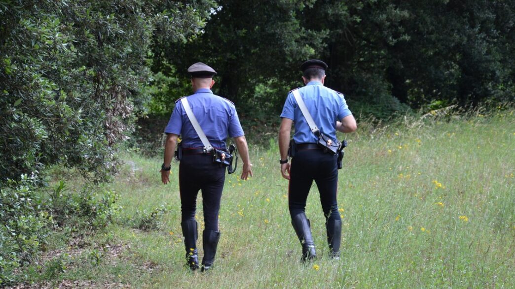 Giallo Sul Monte Falterona3A Un
