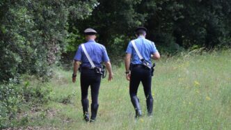 Giallo Sul Monte Falterona3A Un