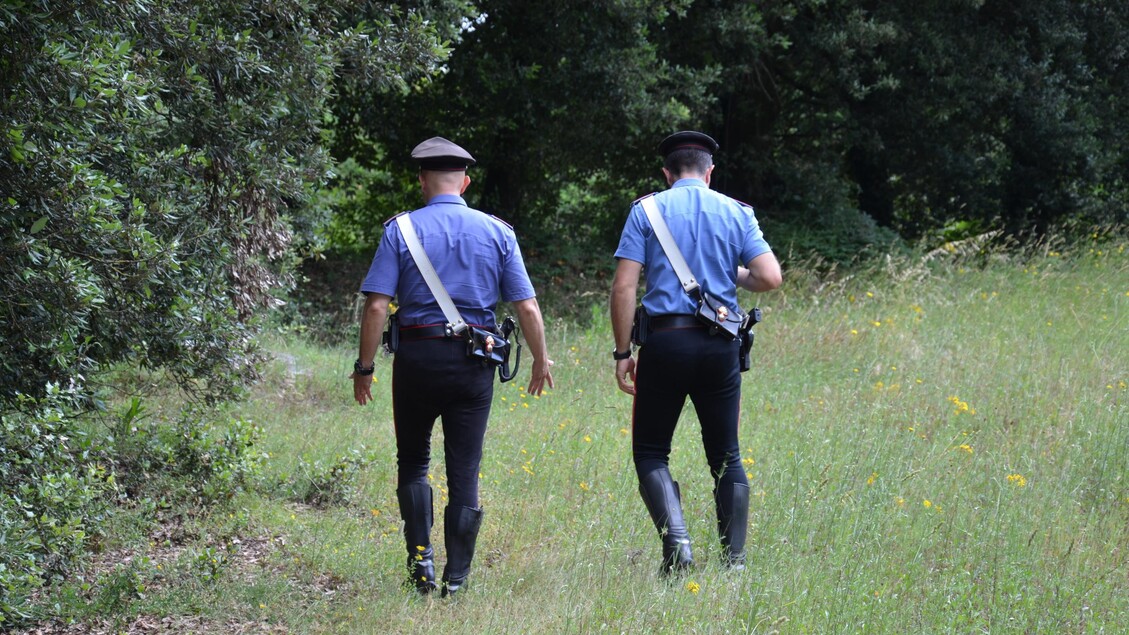 Giallo Sul Monte Falterona3A Un