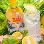 Gin Tabar Bergamotto Casoni Un Gin Artigianale Che Unisce Agrumi E Botaniche A Finale Emilia