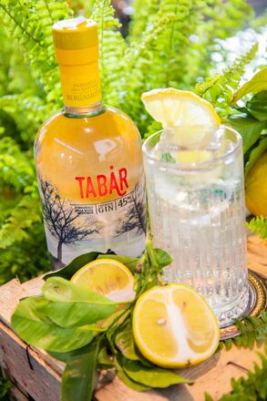 Gin Tabar Bergamotto Casoni Un