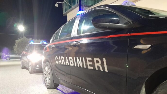 Giovane Di 28 Anni Aggredisce