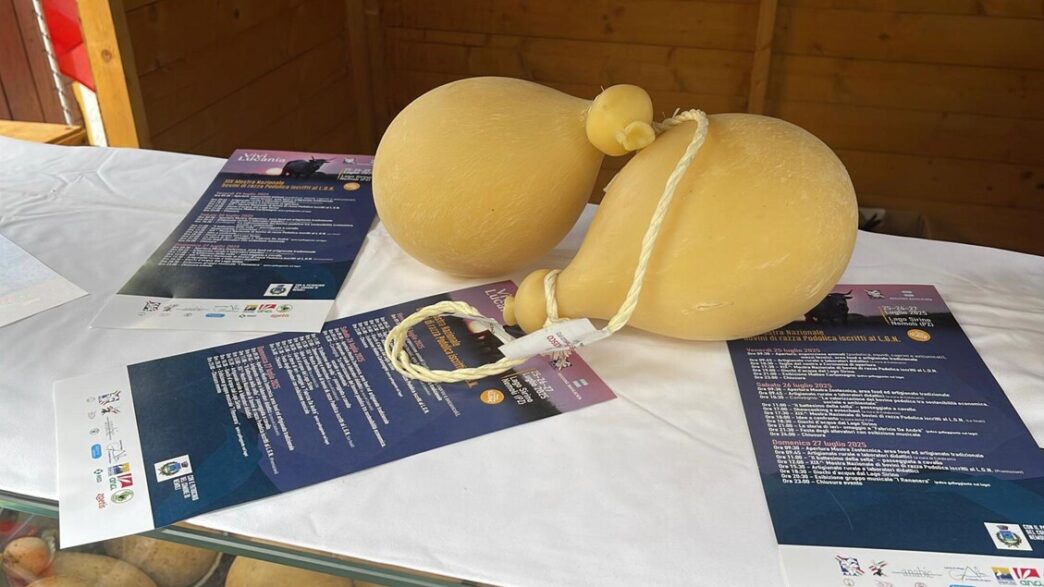 Il Caciocavallo Podolico Verso