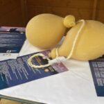 Il Caciocavallo Podolico Verso La Certificazione Dop, Avviate Le Procedure In Basilicata