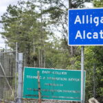 Il Consolato Italiano A Miami Ha Visitato Due Connazionali Detenuti Nella Struttura Chiamata Alligator Alcatraz