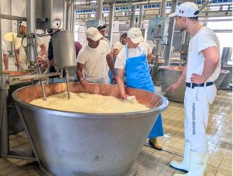 Il Consorzio Del Parmigiano Re
