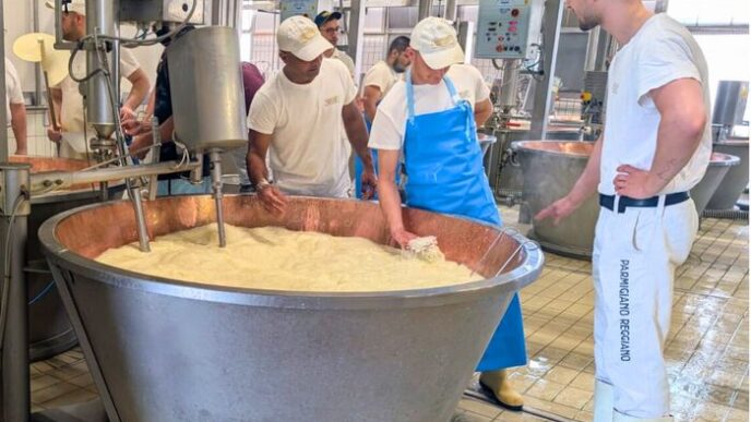 Il Consorzio Del Parmigiano Re