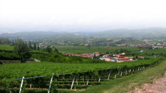 Il Consorzio Tutela Vini Valpo