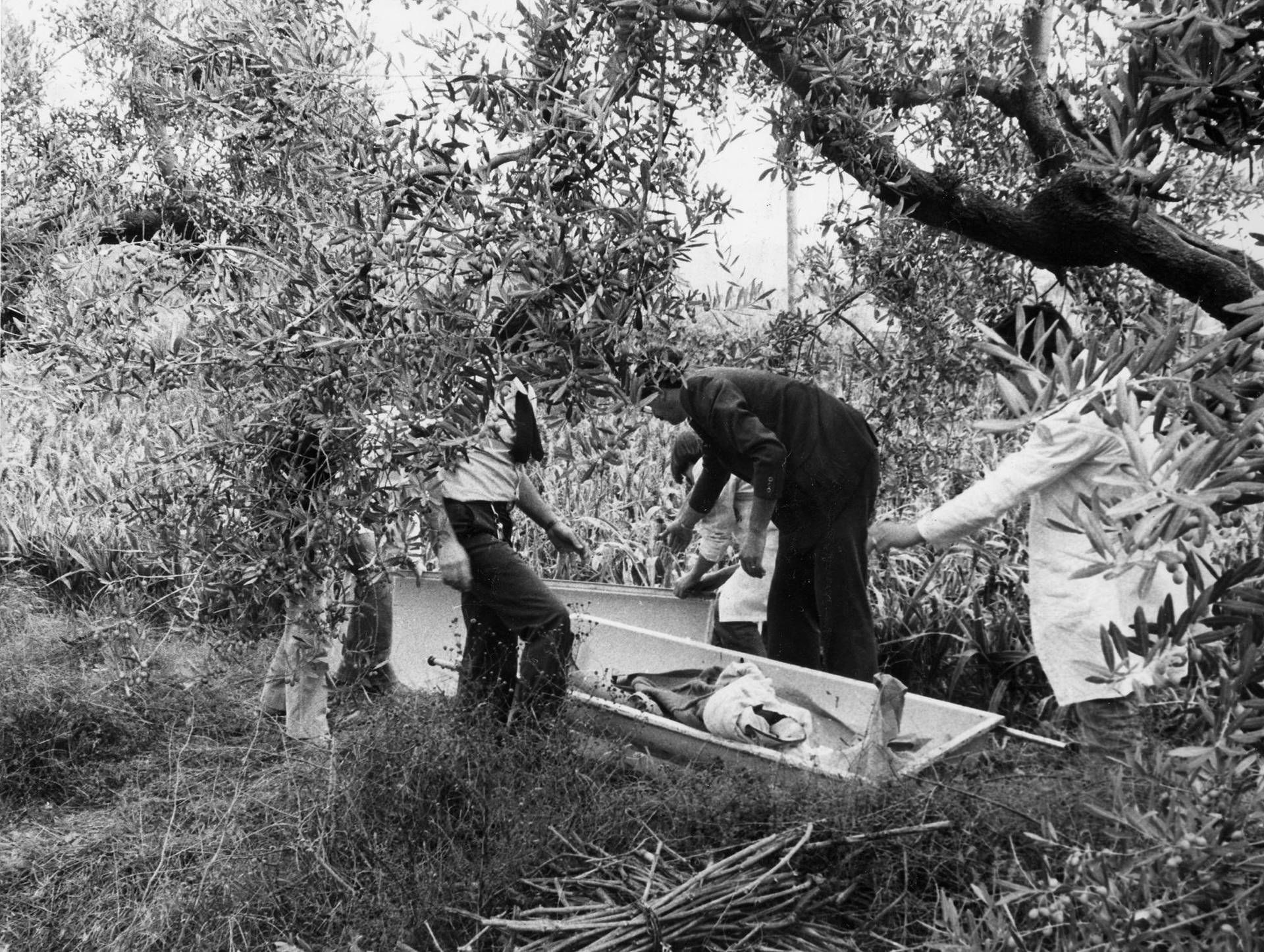 Il Dna Cambia La Ricostruzione