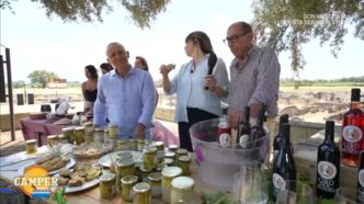Il Finocchio Igp Di Isola Capo