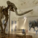 Il Mammut Del Castello All’aquila: Presentazione Del Volume Per I 70 Anni Dalla Scoperta Del Fossile