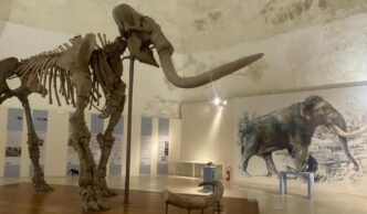 Il Mammut Del Castello Alle28099Aqu