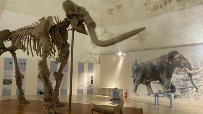 Il Mammut Del Castello Alle28099Aqu