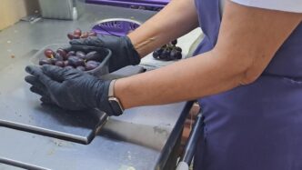 Il Mix Di Uva Da Tavola Con E