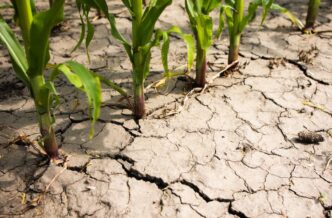 Il Mondo Perde Acqua Dolce A L