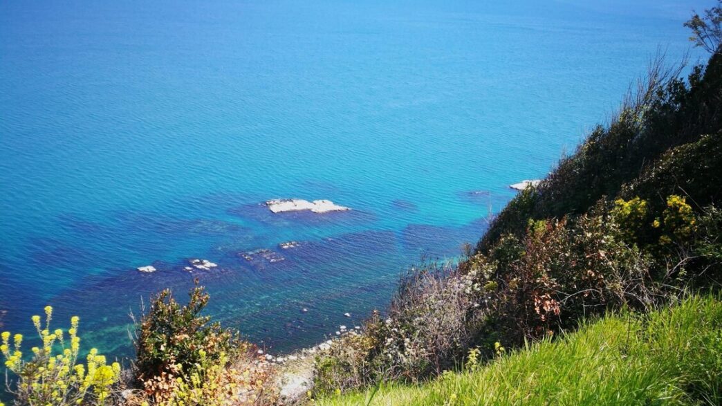 Il Parco Del Cardeto Ad Ancona