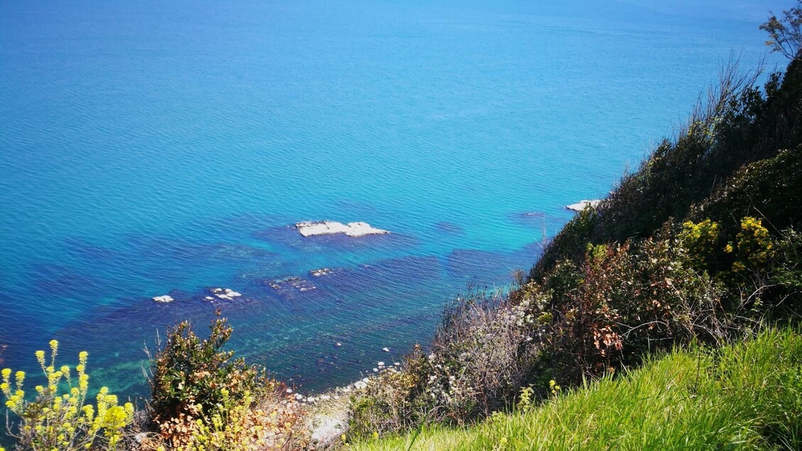 Il Parco Del Cardeto Ad Ancona