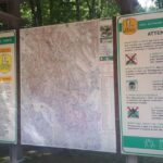 Il Parco Nazionale Abruzzo Lazio E Molise Condanna Le Foto Di Lupi Con Cuccioli Scattate In Situazioni Inopportune