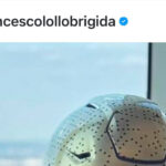 Il Parmigiano Reggiano Protagonista A New York Con I New York Jets E Incontri Istituzionali Per L’export Italiano