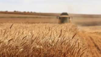 Il Settore Agrifood In Italia3A