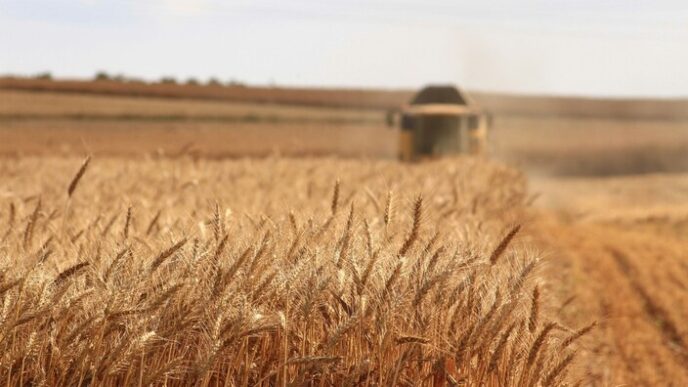 Il Settore Agrifood In Italia3A