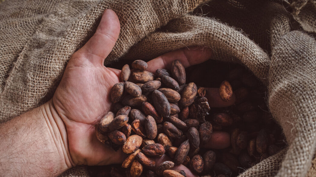 Il Surplus Agroalimentare Dell