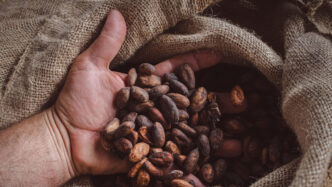 Il Surplus Agroalimentare Dell