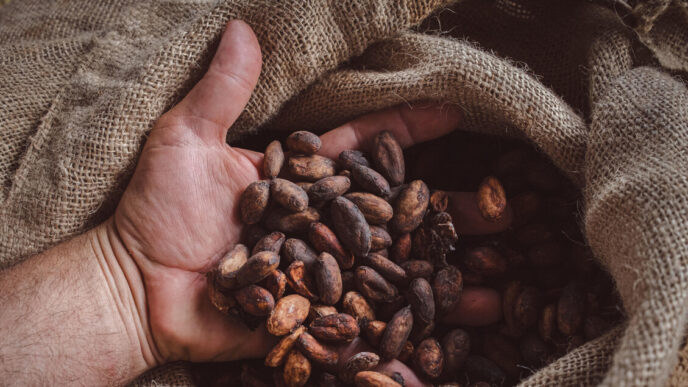 Il Surplus Agroalimentare Dell