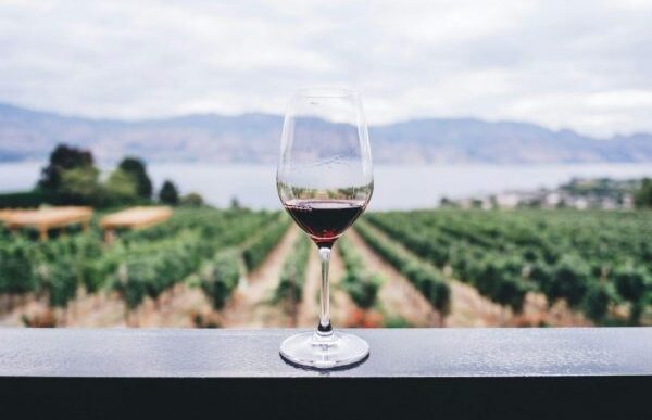 Il Turismo Del Vino In Italia