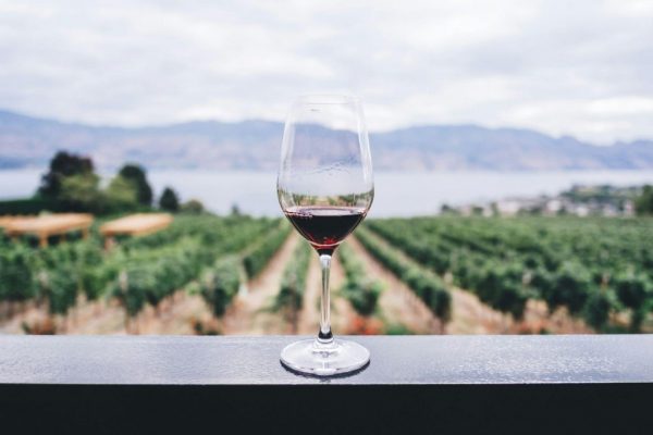 Il Turismo Del Vino In Italia