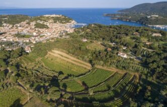 Il Vino Delle28099Elba Tra Turismo